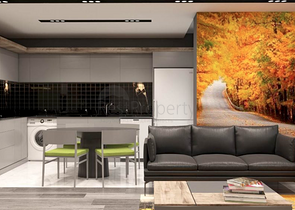 المشروع في المرحلة النهائية من البناء في منطقة ارابسو 