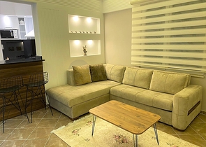 شقة غرفة وصالة - اكساء واثاث جديد - في منطقة حيوية - اوبا / الانيا 