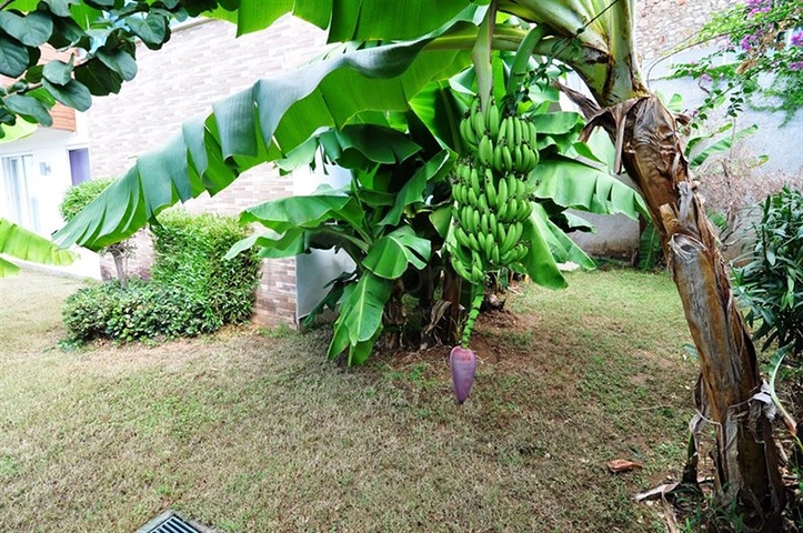 اطلالة بحر- فيلا مع مسبح خاص وساونا - أثاث فاخر -  كارجي جاك / الانيا 