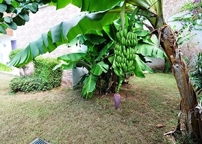 اطلالة بحر- فيلا مع مسبح خاص وساونا - أثاث فاخر -  كارجي جاك / الانيا 