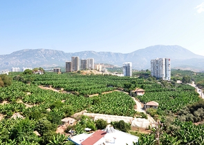 شقة 2 غرفة وصالة  - ضمن مجمع يضم كافة الخدمات - مهموتلار / الانيا 