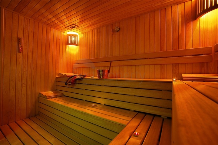 شقة فاخرة - غرفتين وصالة -مفروشة - مهموتلار / الانيا 