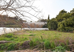 ارض للبيع في منطقة كاستل / الانيا 