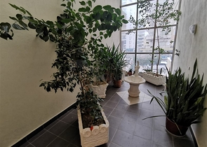 شقة فاخرة - تصميم غرفتين وصالة - مهموتلار / الانيا 