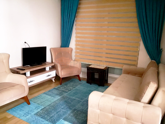 شقة 1 + 1 مع أثاث في ليمان كونيالتي