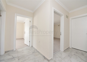 في مركز المدينة - دوبلكس 3 غرف وصالة - الانيا 