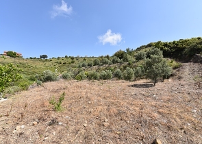 ارض مع اطلالة بحر - قريبة من مطار غازي باشا / الانيا