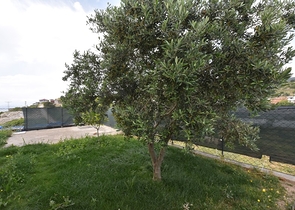 الفيلا المثالية - اطلالة بحر ساحرة - 4 غرف وصالة - مستقلة مع حديقة - الانيا 