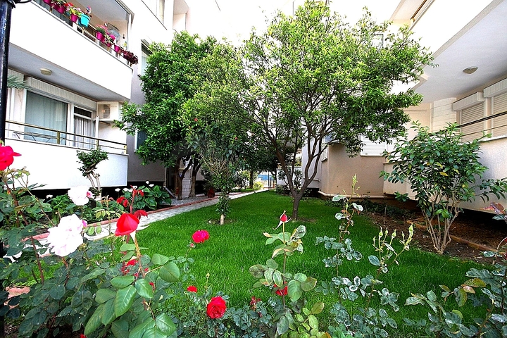 بسعر منافس - شقة غرفتين وصالة مؤثثة - في منطقة اوبا المركزية / الانيا 