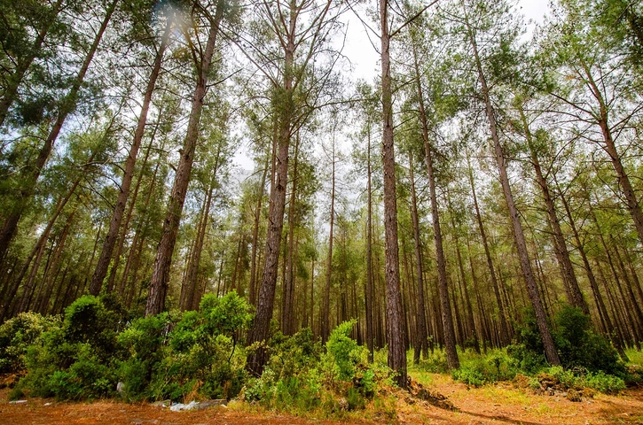 فيلا منفصلة 5 + 1 مع حمام سباحة في يشيلباهر أنطاليا