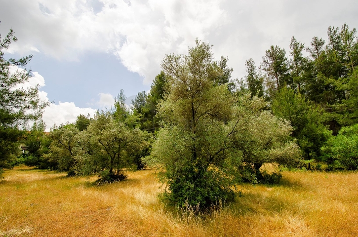 فيلا منفصلة 5 + 1 مع حمام سباحة في يشيلباهر أنطاليا