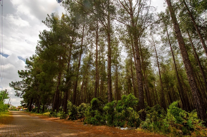 فيلا منفصلة 5 + 1 مع حمام سباحة في يشيلباهر أنطاليا