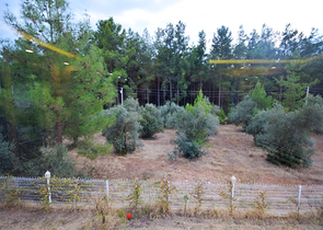 فيلا منفصلة 5 + 1 مع حمام سباحة في يشيلباهر أنطاليا