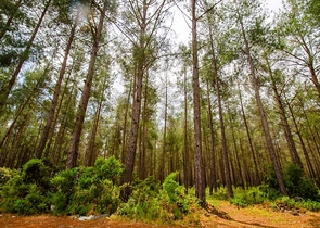 فيلا منفصلة 5 + 1 مع حمام سباحة في يشيلباهر أنطاليا