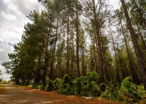 فيلا منفصلة 5 + 1 مع حمام سباحة في يشيلباهر أنطاليا