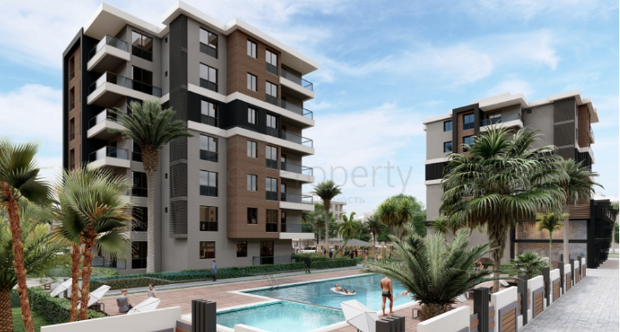 مشروع استثماري بأقساط بدون فوائد لمدة 36 شهر