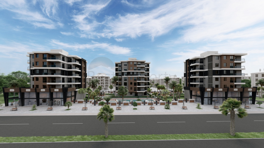 مشروع استثماري بأقساط بدون فوائد لمدة 36 شهر