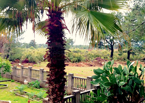 فيلا 6 + 1 في منطقة Nebiler Doshemealti