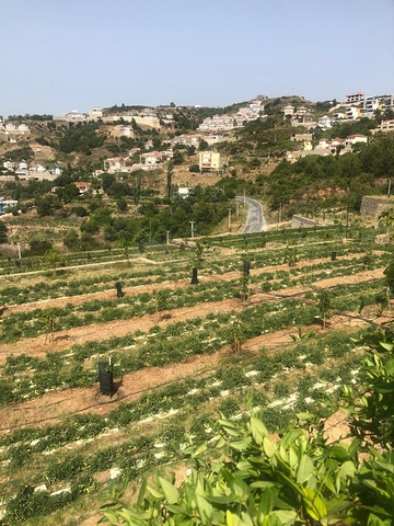 بالاقساط - مشروع فلل - بأسعار مناسبة - كارجي جاك / الانيا 
