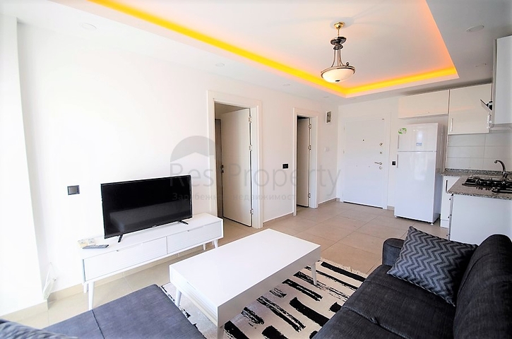 في مركز الانيا - شقة غرفة وصالة مفروشة - الانيا 