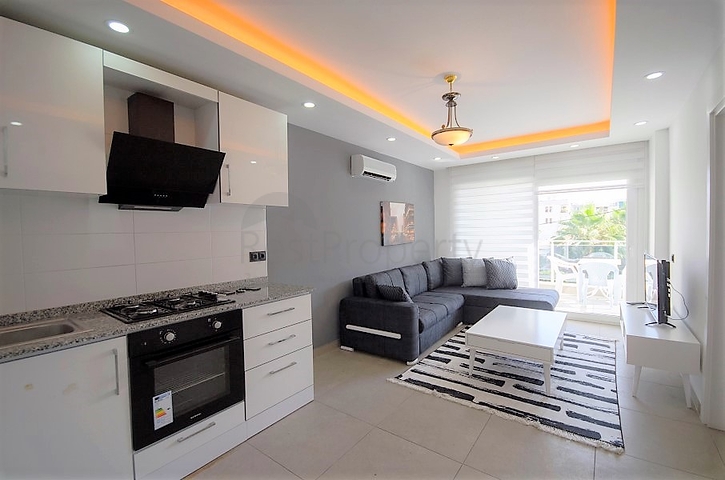 في مركز الانيا - شقة غرفة وصالة مفروشة - الانيا 