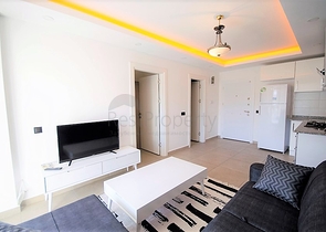 في مركز الانيا - شقة غرفة وصالة مفروشة - الانيا 