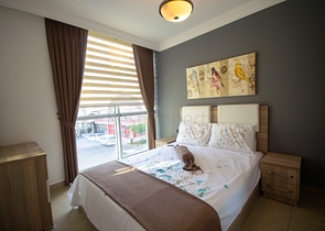 في مركز الانيا - شقة غرفة وصالة مفروشة - الانيا 