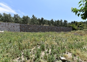 ارض للبيع - في كارجي جاك / الانيا 