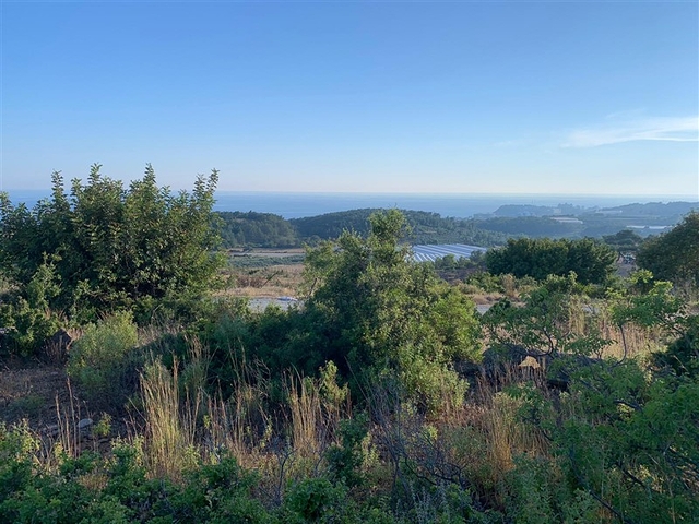 اطلالة بحر - فيلا مستقلة - غرب مدينة الانيا / افسلار