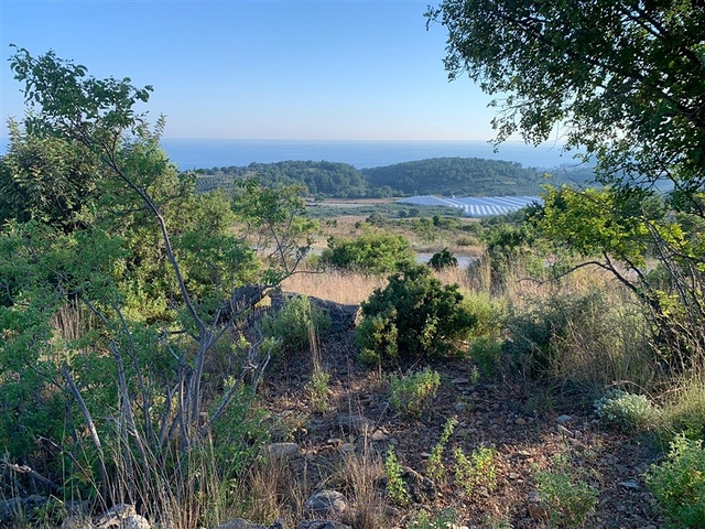 اطلالة بحر - فيلا مستقلة - غرب مدينة الانيا / افسلار