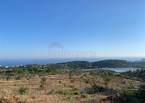 اطلالة بحر - فيلا مستقلة - غرب مدينة الانيا / افسلار