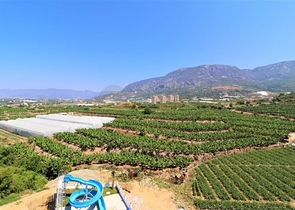 اطلالة بحر وجبل - دوبلكس غرفتين وصالة - مجمع حديث - مهموتلار / الانيا 