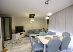 شقة 2 + 1 مع اثاث في ليمان كونيالتي