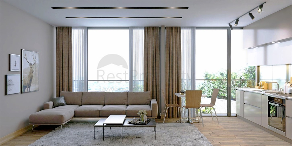 مشروع استثماري في كونيالتي