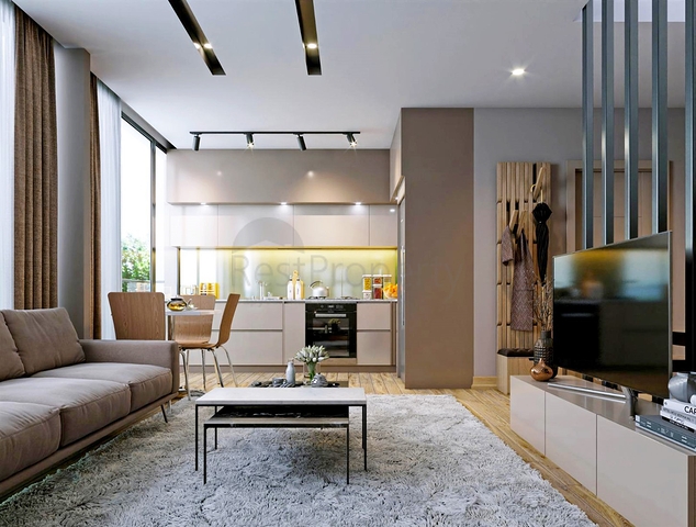 مشروع استثماري في كونيالتي