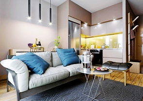 مشروع استثماري في كونيالتي