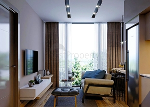 مشروع استثماري في كونيالتي