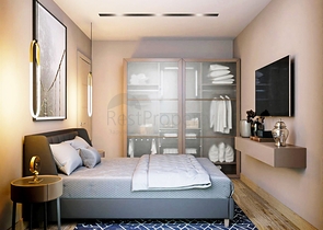 مشروع استثماري في كونيالتي