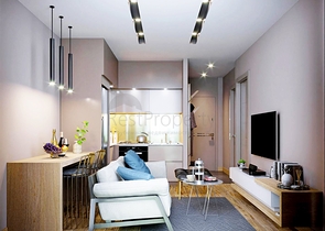 مشروع استثماري في كونيالتي