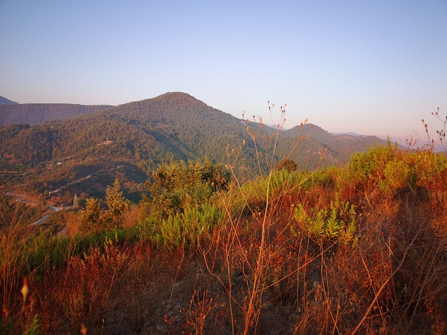 اراضي للبيع ضمن منطقة كارجي جاك - مناسبة لبناء فيلا / في الانيا 