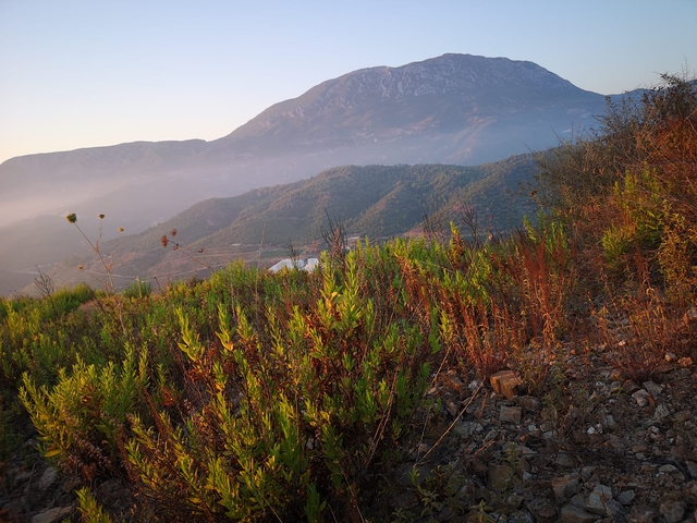 اراضي للبيع ضمن منطقة كارجي جاك - مناسبة لبناء فيلا / في الانيا 