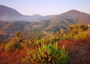 اراضي للبيع ضمن منطقة كارجي جاك - مناسبة لبناء فيلا / في الانيا 