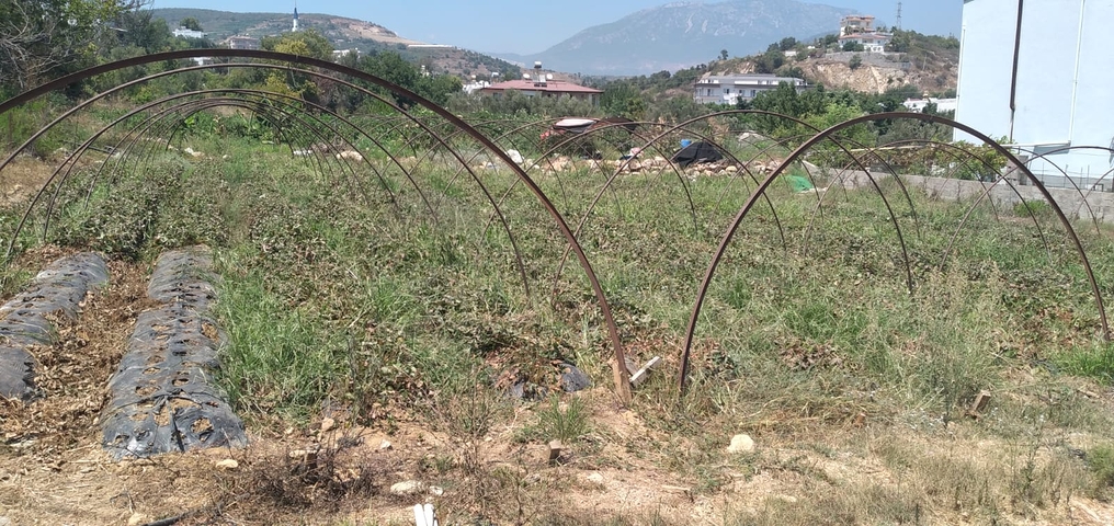 ارض للبيع - مناسبة لبناء منزل ريفي او فيلا - في ديمرتاش / الانيا 