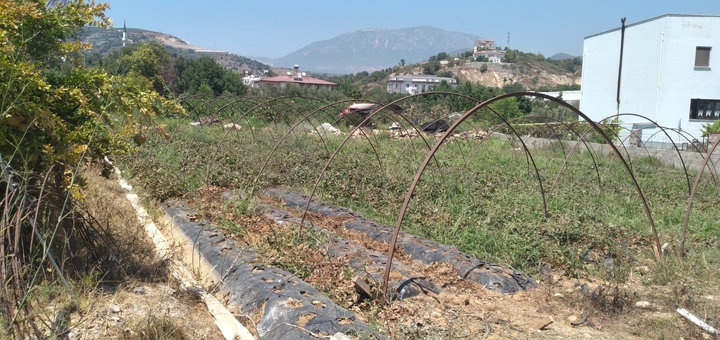 ارض للبيع - مناسبة لبناء منزل ريفي او فيلا - في ديمرتاش / الانيا 