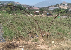 ارض للبيع - مناسبة لبناء منزل ريفي او فيلا - في ديمرتاش / الانيا 