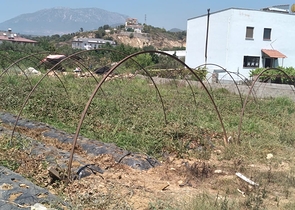 ارض للبيع - مناسبة لبناء منزل ريفي او فيلا - في ديمرتاش / الانيا 