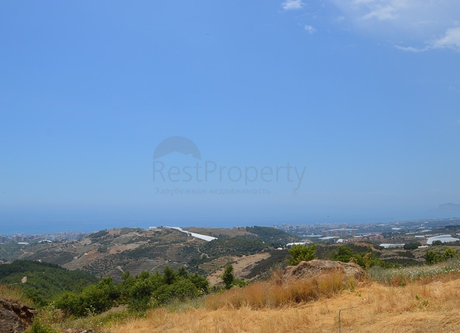 ارض للبيع في الانيا -بسعر مميز 