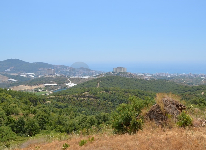 ارض للبيع في الانيا -بسعر مميز 