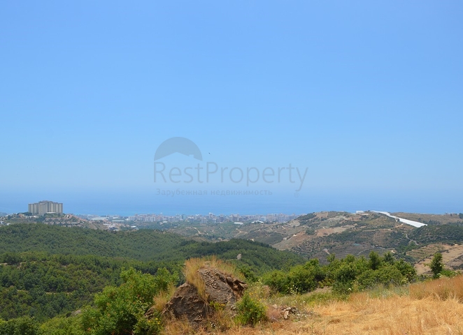 ارض للبيع في الانيا -بسعر مميز 