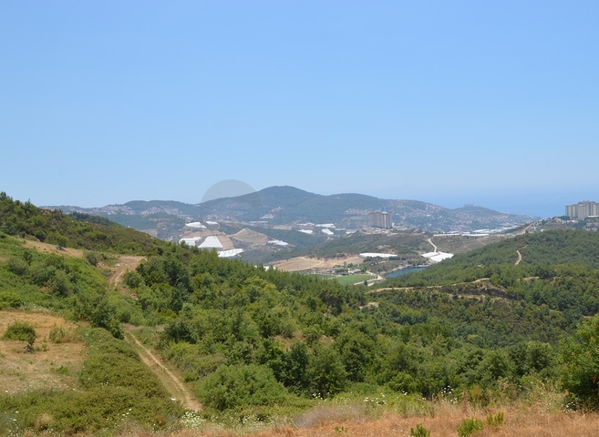 ارض للبيع في الانيا -بسعر مميز 